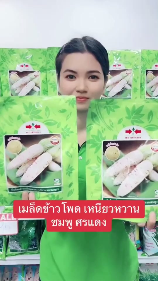 ข้าวโพดเหนียวหวาน ชมพู ศรแดง งอกดี โตไว 